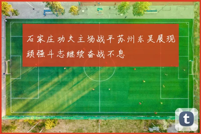石家庄功夫主场战平苏州东吴展现顽强斗志继续奋战不息