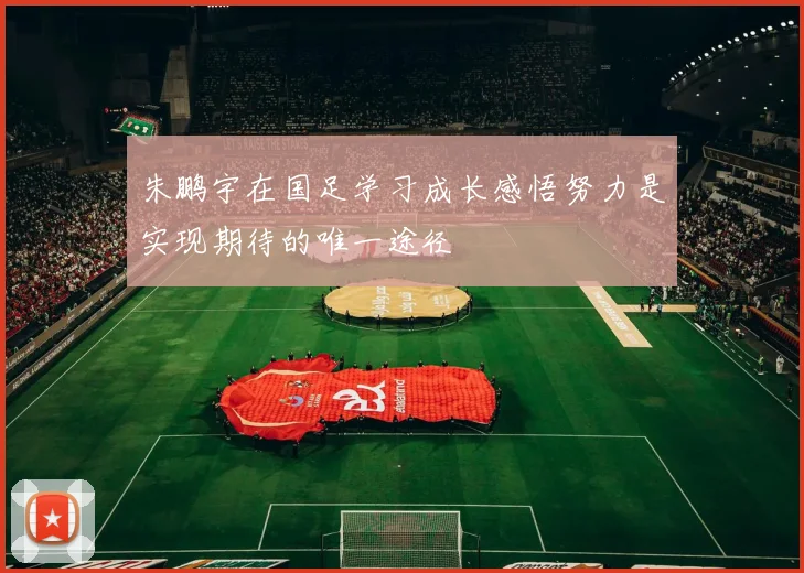 朱鹏宇在国足学习成长感悟努力是实现期待的唯一途径
