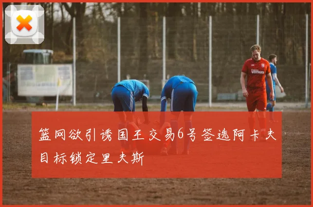 篮网欲引诱国王交易6号签选阿卡夫目标锁定里夫斯