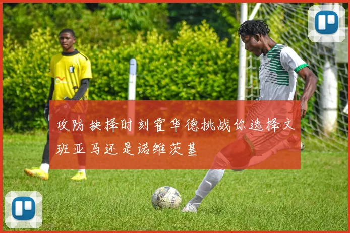 攻防抉择时刻霍华德挑战你选择文班亚马还是诺维茨基