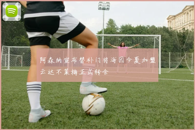 阿森纳宣布替补门将海因今夏加盟云达不莱梅正式转会